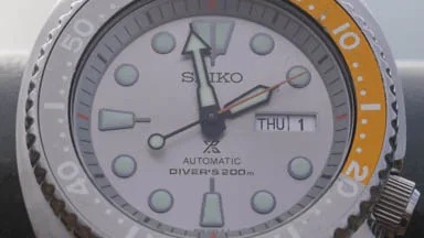 Seiko Prospex Turtle Card