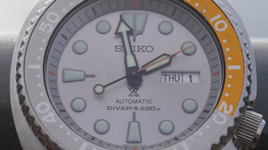 Seiko Prospex Turtle Card